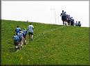 Zvten snmku 20110423_112104.jpg