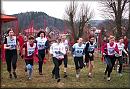 Zvten snmku 20130420_110649.jpg