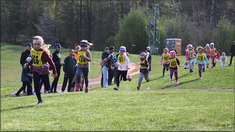 Zp�t na n�hledy