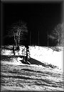 zs1986-2_02.jpg