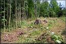 Zvten snmku generovani\20110806_104601.jpg