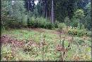 Zvten snmku generovani\20120908_132500.jpg