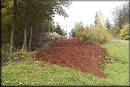 Zvten snmku generovani\20121010_170416.jpg