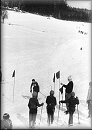 Zvten snmku nz1964_06.jpg
