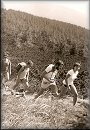 Zvten snmku v1983_11.jpg