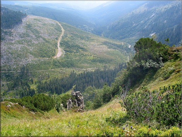 Zpt na nhledy