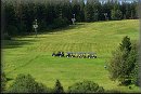 20080830_094831.jpg