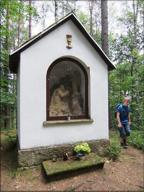 Zpět na náhledy