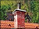 Zvten snmku 20220827_155324.jpg